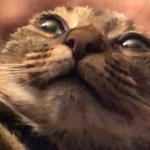 Meet your Posher, Crystal